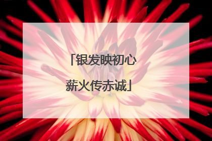 银发映初心 薪火传赤诚