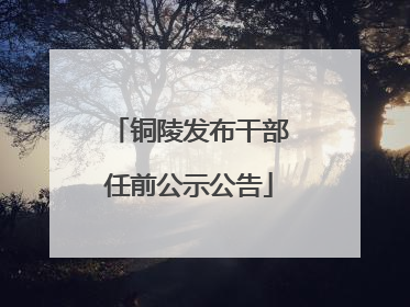 铜陵发布干部任前公示公告