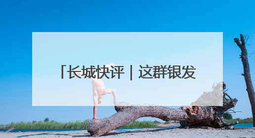 长城快评｜这群银发“合伙人”，为何34年接力做一件事
