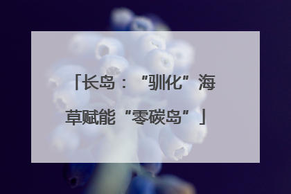 长岛：“驯化”海草赋能“零碳岛”
