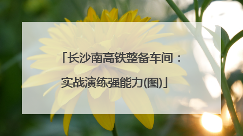 长沙南高铁整备车间：实战演练强能力(图)