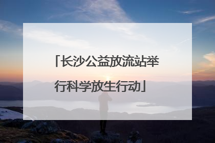 长沙公益放流站举行科学放生行动