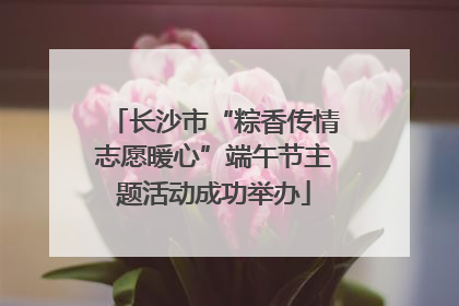 长沙市“粽香传情志愿暖心”端午节主题活动成功举办