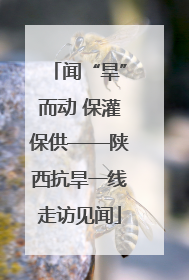 闻“旱”而动 保灌保供——陕西抗旱一线走访见闻