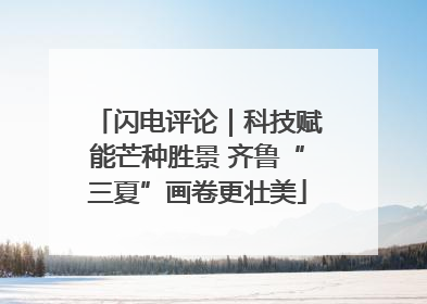闪电评论｜科技赋能芒种胜景 齐鲁“三夏”画卷更壮美