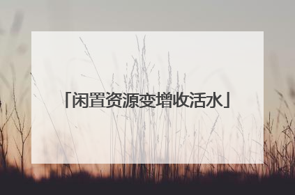 闲置资源变增收活水