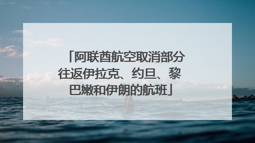 阿联酋航空取消部分往返伊拉克、约旦、黎巴嫩和伊朗的航班