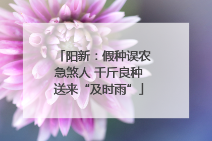 阳新：假种误农急煞人 千斤良种送来“及时雨”
