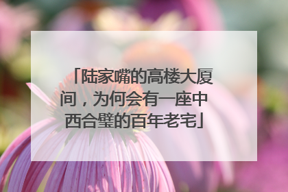 陆家嘴的高楼大厦间，为何会有一座中西合璧的百年老宅