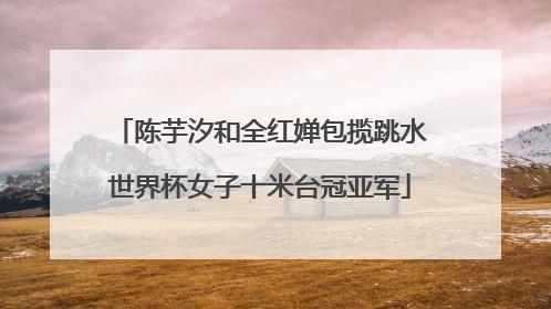 陈芋汐和全红婵包揽跳水世界杯女子十米台冠亚军