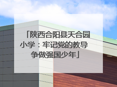 陕西合阳县天合园小学：牢记党的教导 争做强国少年