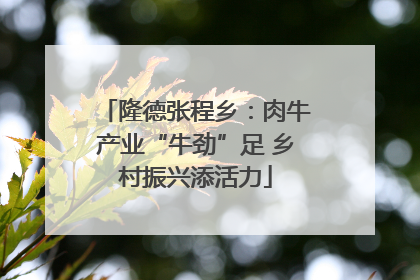 隆德张程乡：肉牛产业“牛劲”足 乡村振兴添活力
