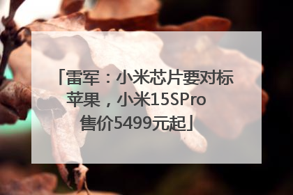 雷军：小米芯片要对标苹果，小米15SPro售价5499元起