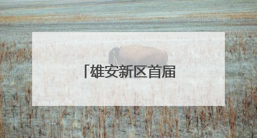 雄安新区首届中小学诵读大赛在雄安举办