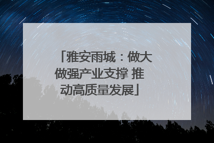 雅安雨城：做大做强产业支撑 推动高质量发展