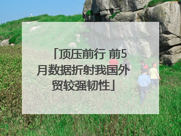 顶压前行 前5月数据折射我国外贸较强韧性