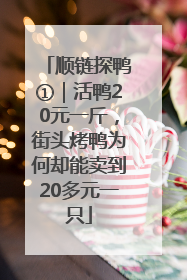顺链探鸭①｜活鸭20元一斤，街头烤鸭为何却能卖到20多元一只