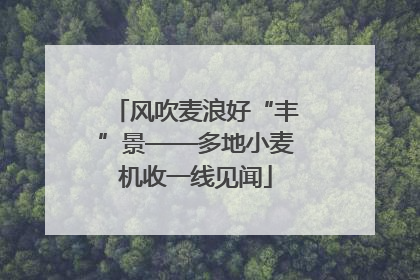 风吹麦浪好“丰”景——多地小麦机收一线见闻
