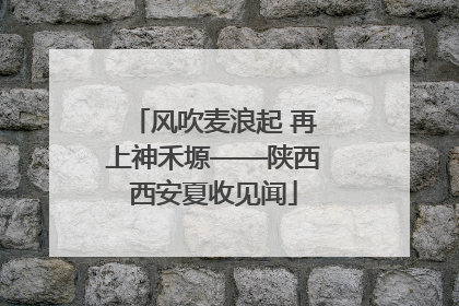 风吹麦浪起 再上神禾塬——陕西西安夏收见闻