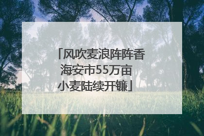 风吹麦浪阵阵香 海安市55万亩小麦陆续开镰
