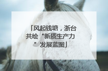 风起钱塘，浙台共绘“新质生产力”发展蓝图