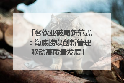 餐饮业破局新范式：海底捞以创新管理驱动高质量发展