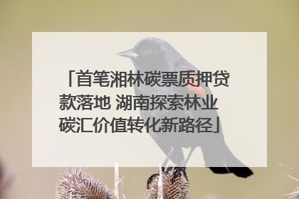 首笔湘林碳票质押贷款落地 湖南探索林业碳汇价值转化新路径