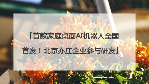首款家庭桌面AI机器人全国首发！北京亦庄企业参与研发