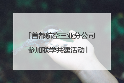 首都航空三亚分公司参加联学共建活动