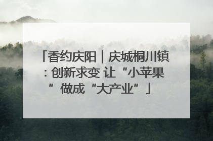 香约庆阳｜庆城桐川镇：创新求变 让“小苹果”做成“大产业”