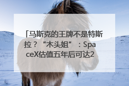马斯克的王牌不是特斯拉？“木头姐”：SpaceX估值五年后可达2.5万亿美元！
