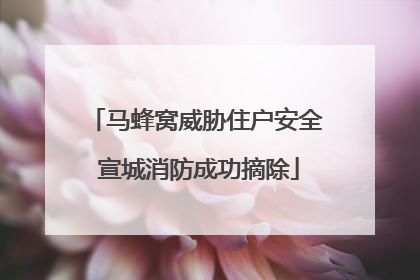 马蜂窝威胁住户安全 宣城消防成功摘除
