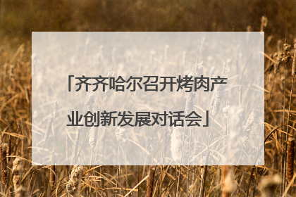 齐齐哈尔召开烤肉产业创新发展对话会