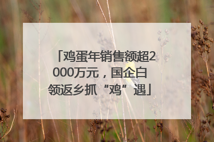 鸡蛋年销售额超2000万元，国企白领返乡抓“鸡”遇
