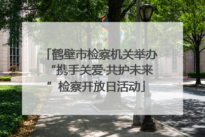 鹤壁市检察机关举办“携手关爱·共护未来”检察开放日活动
