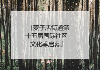 麦子店街道第十五届国际社区文化季启幕