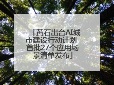 黄石出台AI城市建设行动计划 首批27个应用场景清单发布