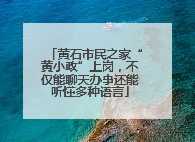 黄石市民之家“黄小政”上岗，不仅能聊天办事还能听懂多种语言
