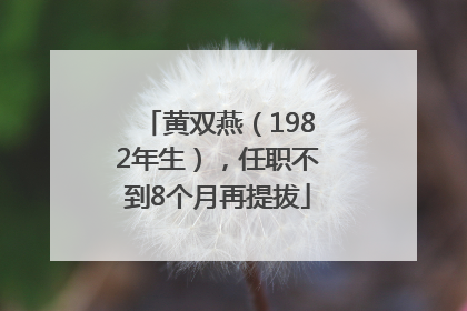 黄双燕（1982年生），任职不到8个月再提拔