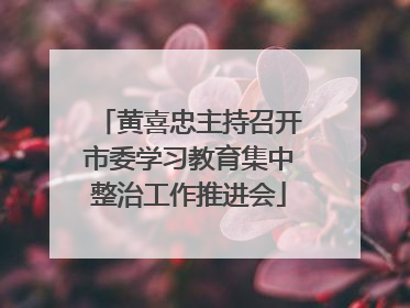黄喜忠主持召开市委学习教育集中整治工作推进会