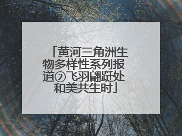 黄河三角洲生物多样性系列报道②飞羽翩跹处 和美共生时