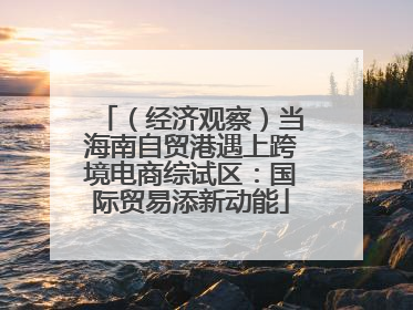 （经济观察）当海南自贸港遇上跨境电商综试区：国际贸易添新动能