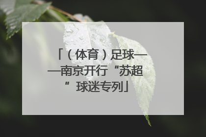 （体育）足球——南京开行“苏超”球迷专列