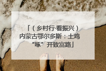 （乡村行·看振兴）内蒙古鄂尔多斯：土鸡“啄”开致富路