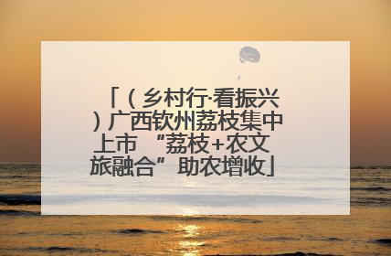 （乡村行·看振兴）广西钦州荔枝集中上市 “荔枝+农文旅融合”助农增收