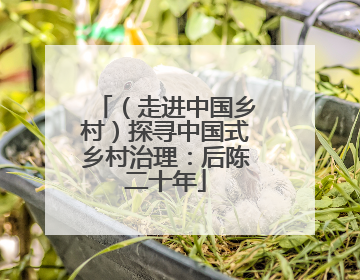 （走进中国乡村）探寻中国式乡村治理：后陈二十年
