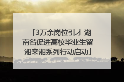 3万余岗位引才 湖南省促进高校毕业生留湘来湘系列行动启动