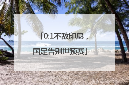0:1不敌印尼，国足告别世预赛