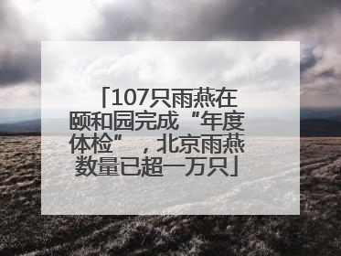 107只雨燕在颐和园完成“年度体检”，北京雨燕数量已超一万只