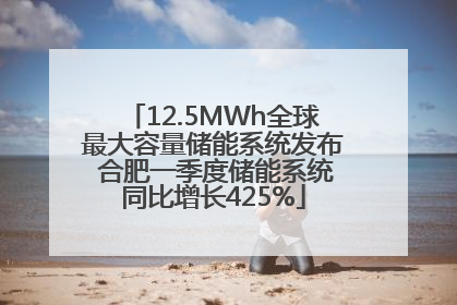 12.5MWh全球最大容量储能系统发布 合肥一季度储能系统同比增长425%